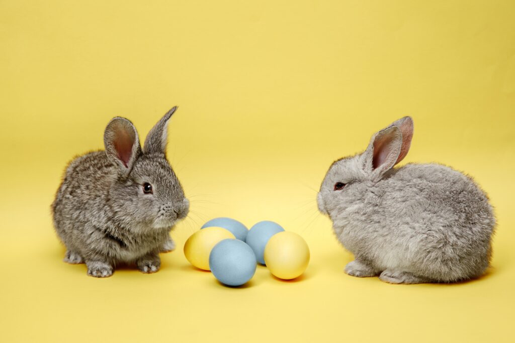 conejos-pascua-huevos-pintados-sobre-fondo-amarillo-concepto-pascua-animales-primavera-celebracion-vacaciones